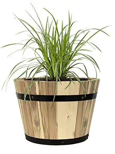 Pflanzwerk® Pflanzkübel Cup Holz Ø37cm