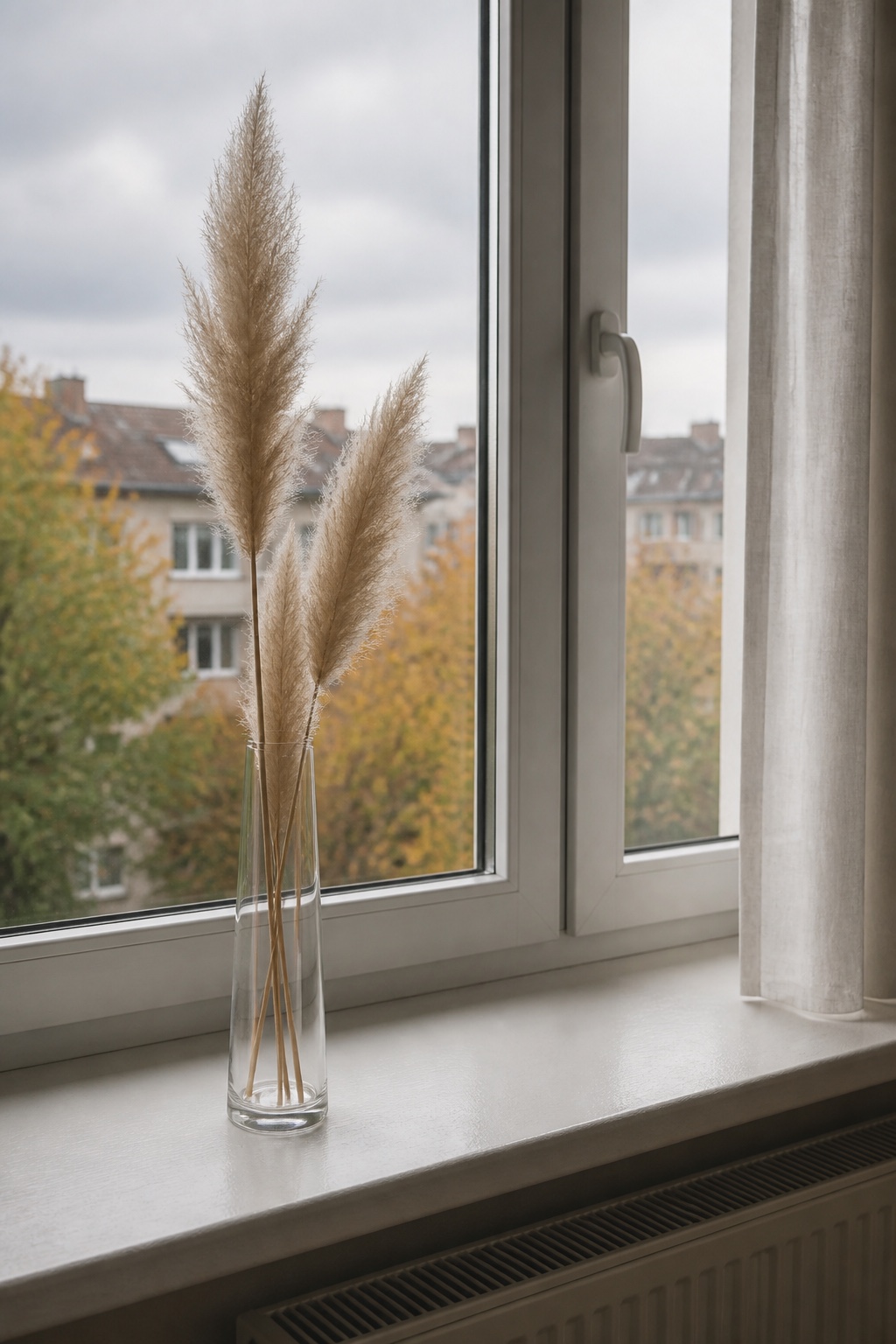 Beiges Pampasgras in drei Höhen in einer transparenten Glasvase auf einer Fensterbank
