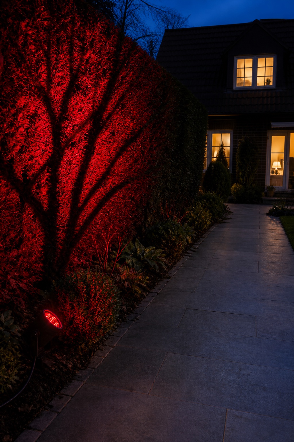 Roter LED-Strahler zeichnet bedrohliche Astschatten auf eine Gartenhecke