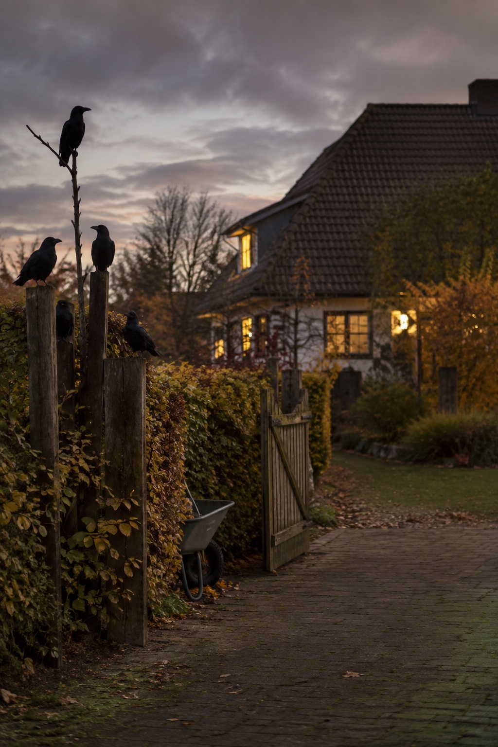 Mehrere schwarze Dekoraben sitzen am Gartenzaun und auf einem kahlen Ast