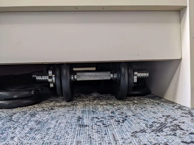 Hanteln aufbewahren – die 8 besten Ideen!