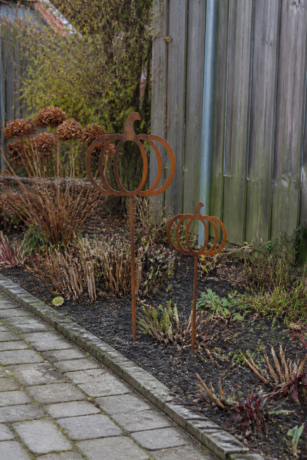 Zwei rostfarbene Kürbisstecker in einem zurückgeschnittenen Staudenbeet neben einem Gartenweg