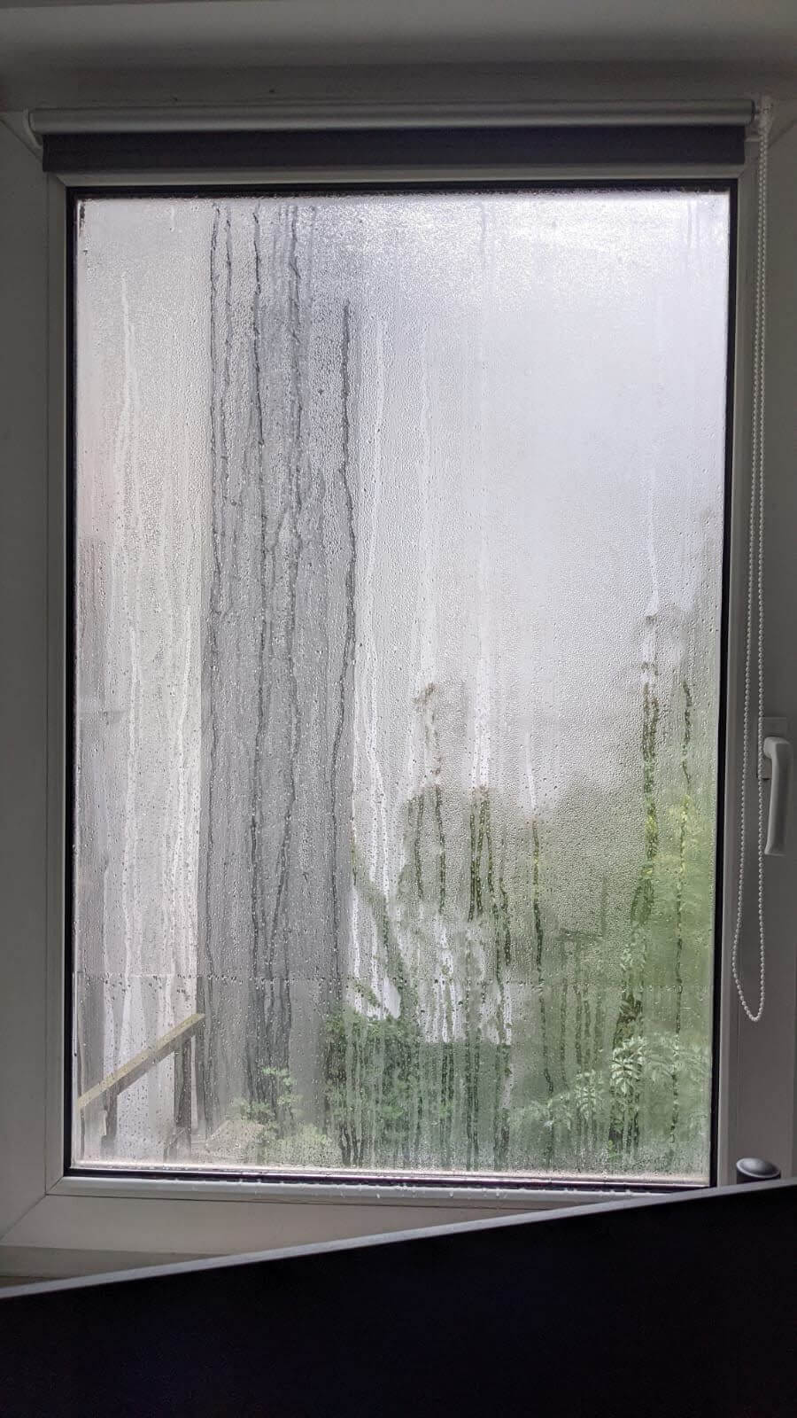hohe luftfeuchtigkeit wohnung