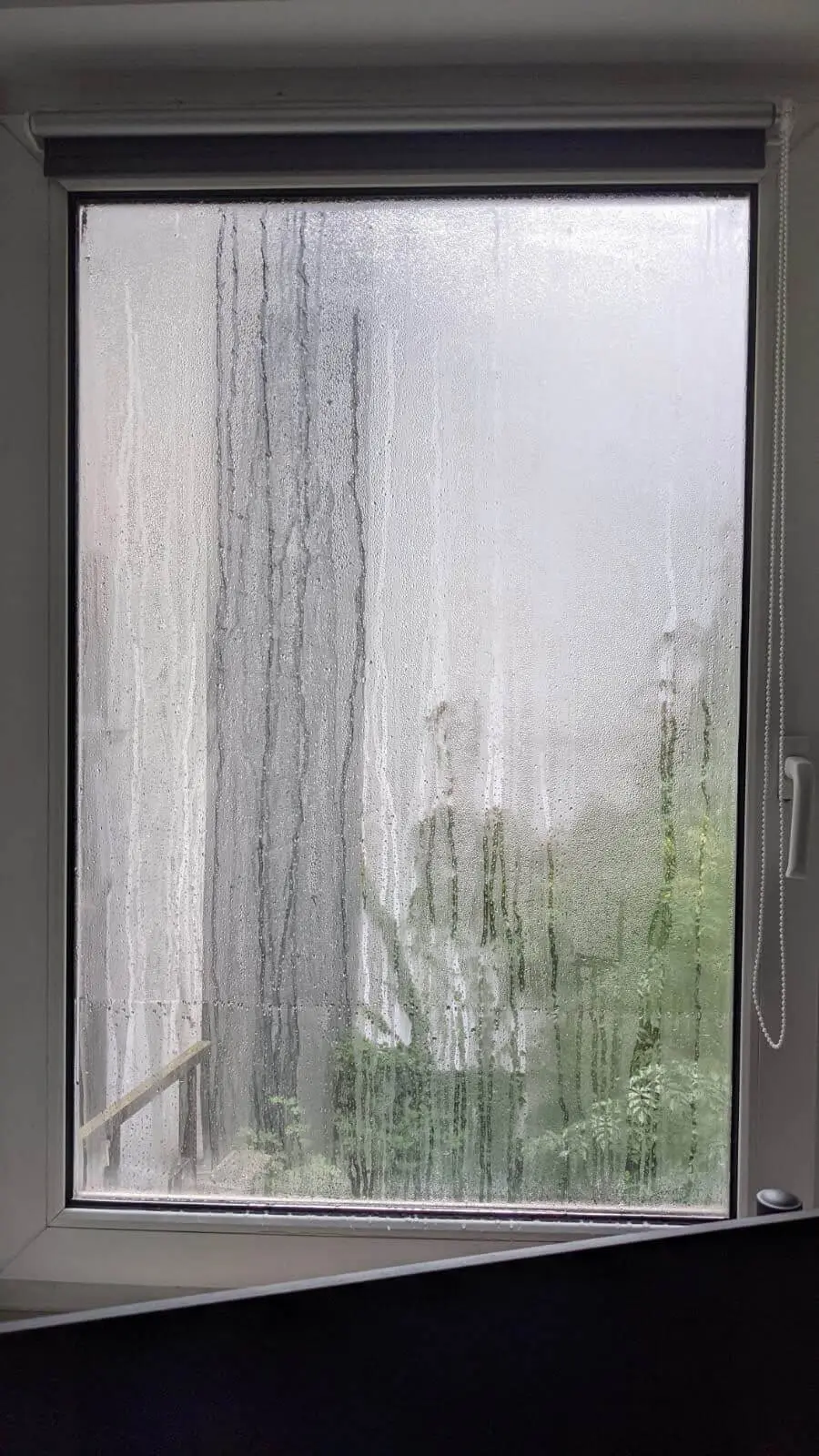 hohe luftfeuchtigkeit wohnung